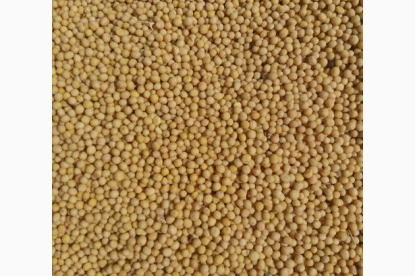 Кракен ссылка kraken