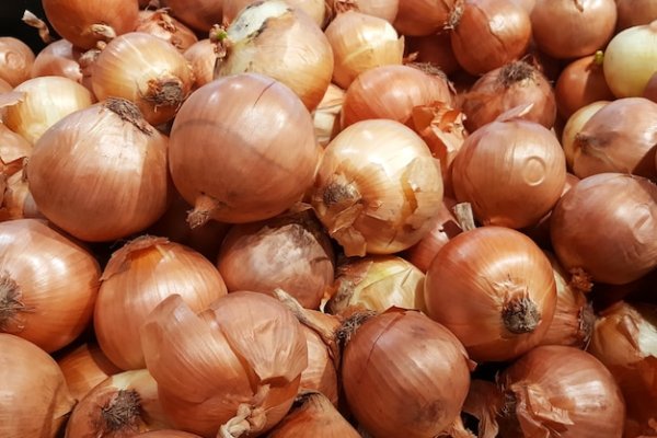 Кракен без тора