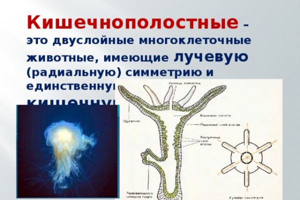 Ссылка адрес на кракен тор