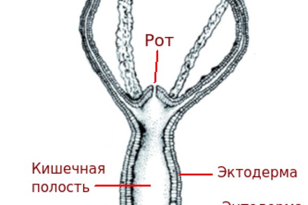 Ссылки в тор