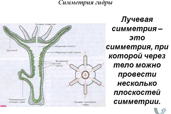 Kraken зеркало тор