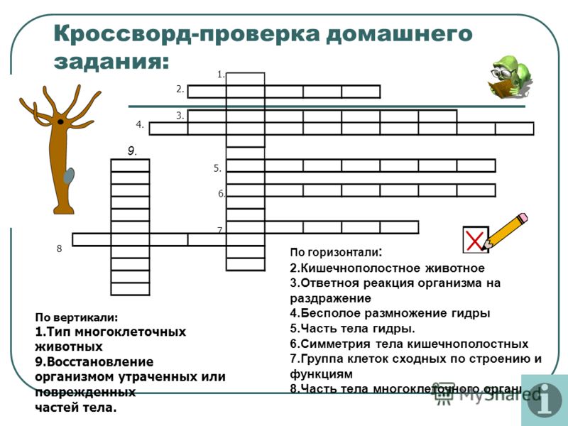 Кракен наркошоп сайт